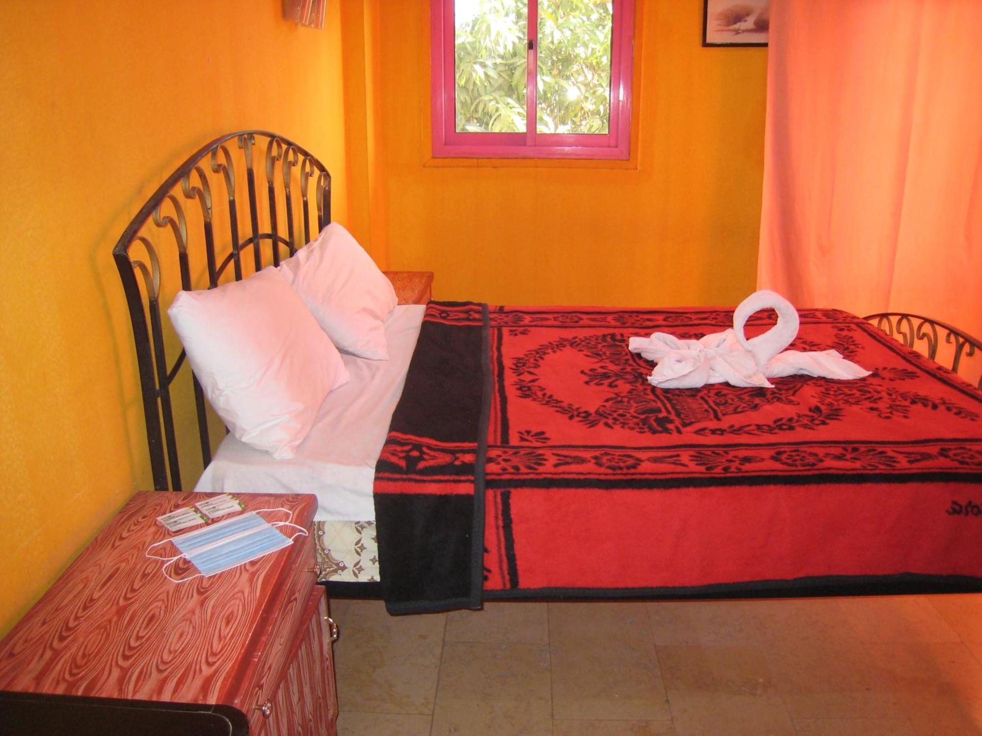 Ramsess Hostel Luxor Rum bild